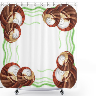 Personality  Tropical Seashells With Green Seaweed Isolated On White. Watercolor Background Illustration Set. Frame With Copy Space. Shower Curtains