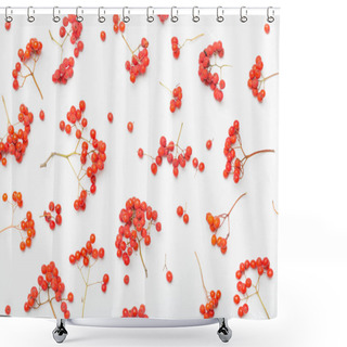 Personality  Autumn Rowan Background Shower Curtains