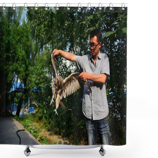 Personality  A Chinese Staff From Forestry Bureau In Zhongmu County Shows The Injured And Sick Saker Falcon, The National Bird In Mongolia, After It Was Rescued In Zhongmu County, Zhengzhou City, Central China's Henan Province, 15 June 2017 Shower Curtains