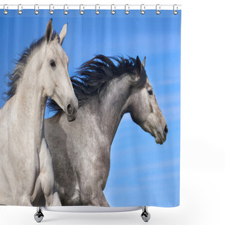 Personality  Couple Of Horse Run Shower Curtains