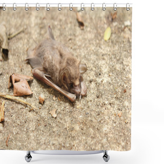 Personality  Dead Bat Shower Curtains
