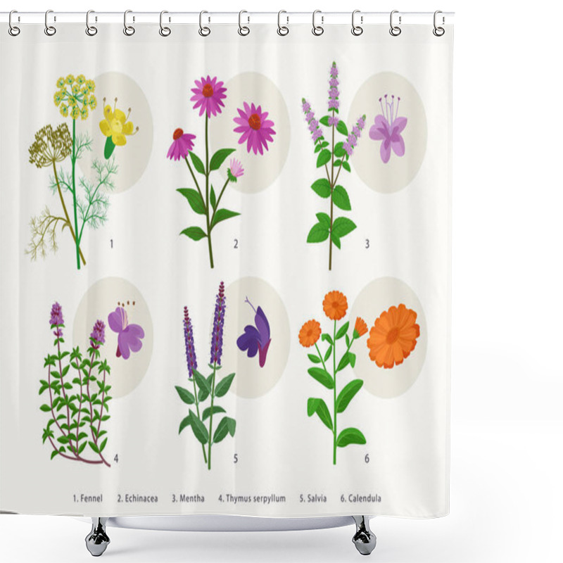 Personality  Medicinal Herbs And Flowers, Healing Plants Icons Collection, Flat Illustrations Isolated On White Background. Fennel, Echinacea, Mentha, Thymus Serpyllum, Salvia, Calendula - Botanical Drawings. Shower Curtains