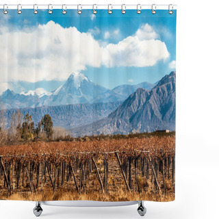 Personality  Volcano Aconcagua And Vineyard, Argentine Province Of Mendoza Shower Curtains