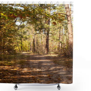 Personality  Beautiful Autumnal Forest With Golden Foliage And Path In Sunlight Shower Curtains