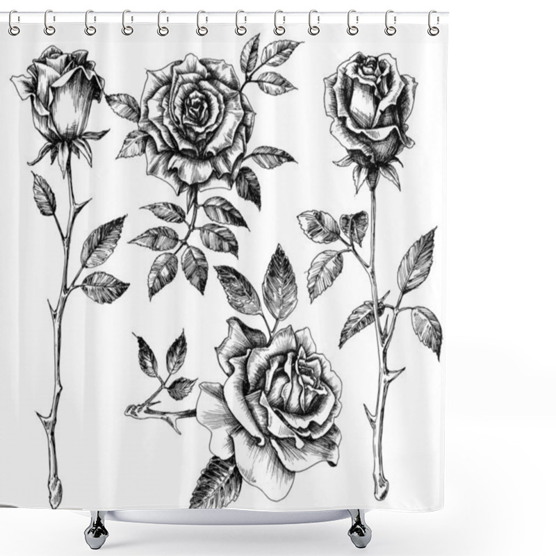 Personality  Hand drawn flower set, rose collection shower curtains