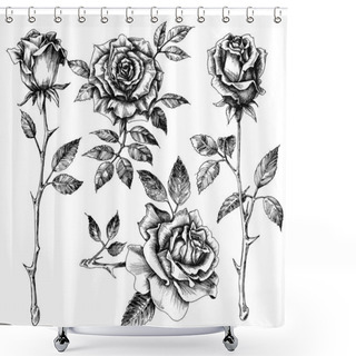 Personality  Hand Drawn Flower Set, Rose Collection Shower Curtains