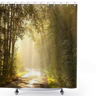 Personality  Autumn Forest Shower Curtains