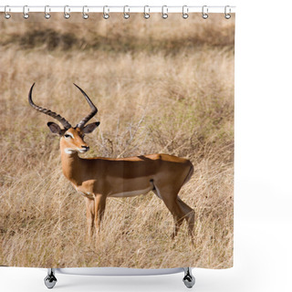 Personality  Impala Shower Curtains