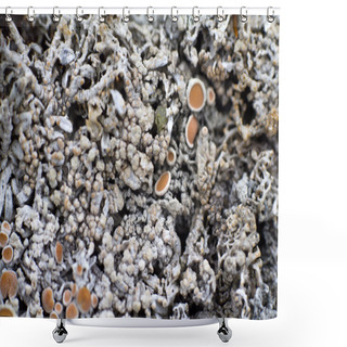 Personality  Macro Polar Live Pattern Texture  Natural Wild Shower Curtains