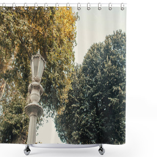 Personality  Low Angle View Of Decorated Lantern Near High Trees Against Clear Sky  Shower Curtains