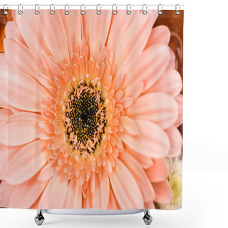 Personality  Close Up View Of Pink Gerbera Flower Shower Curtains