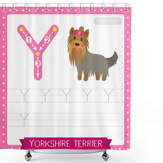 Personality  Letter Y Uppercase Cute Children Colorful Zoo And Animals ABC Alphabet Tracing Practice Worksheet Of Yorkshire Terrier Dog For Kids Learning English Vocabulary And Handwriting Vector Illustration. Shower Curtains
