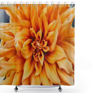 Personality  Close Up Of Beautiful Orange Chrysanthemum In Garden Shower Curtains