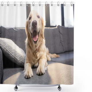 Personality  Golden Retriever Dog  Shower Curtains