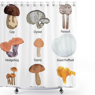 Personality  Set Of Edible Mushrooms Shower Curtains