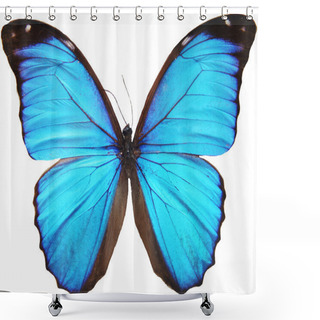 Personality  Blue Butterfly Shower Curtains