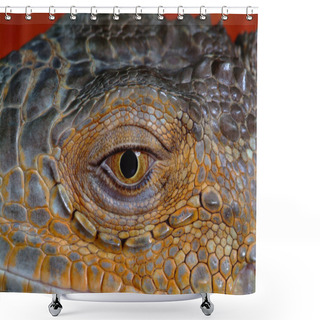 Personality  Young Animals, Selective Focus Shower Curtains