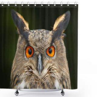 Personality  Beautiful Owl In Nature Habitat Shower Curtains