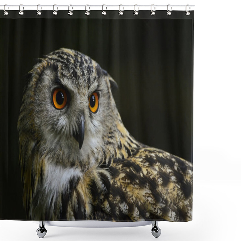 Personality  Stunning portrait of European Eagle Owl bubo bubo shower curtains