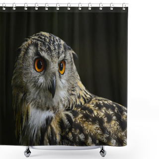 Personality  Stunning Portrait Of European Eagle Owl Bubo Bubo Shower Curtains