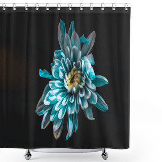 Personality  Top View Of Blue And White Flower, Isolated On Black Shower Curtains