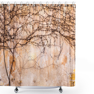 Personality  Dry Trunks And Branches Creepers On The Old Stone Wall. Shower Curtains