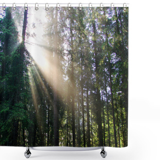 Personality  Forest Shower Curtains