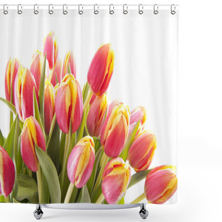 Personality  Dutch Tulips Shower Curtains