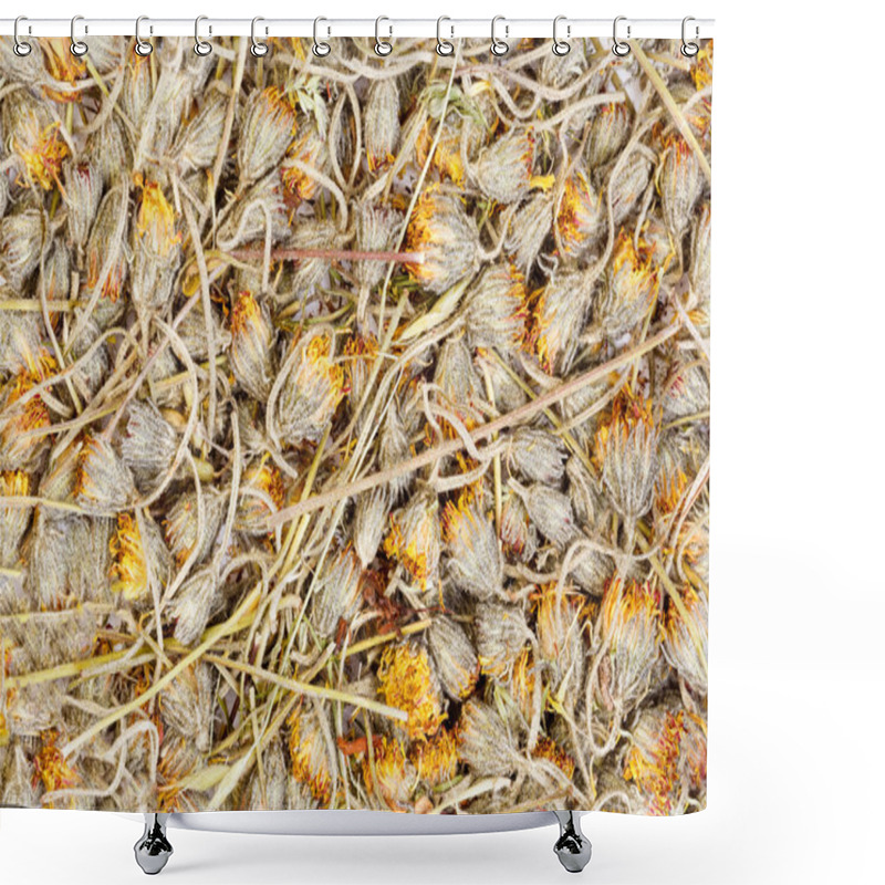 Personality  Hawkweed are drying for herbal medicine use. shower curtains