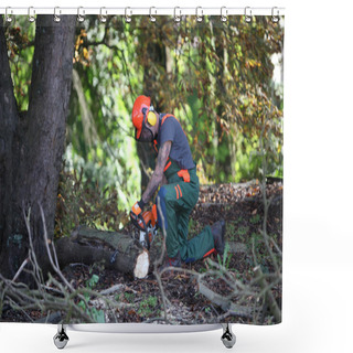 Personality  A Forest Worker Makes Wood Shower Curtains