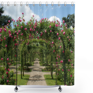 Personality  Pergola In A French Garden Shower Curtains