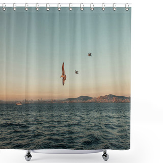 Personality  Seagulls Flying Over Sea During Sunset Shower Curtains