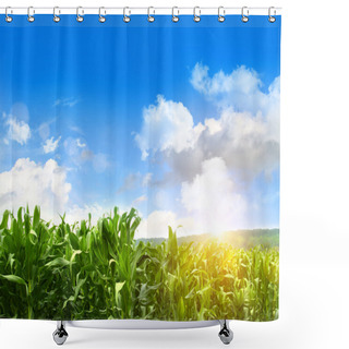 Personality  Field Of Young Corn Growing Against Blue Sky Shower Curtains
