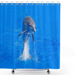 Personality  Bottlenosed Dolphin In Blue Water Shower Curtains