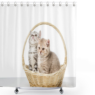 Personality  Cute Fluffy Kittens Sitting In Wicker Basket Isolated On White   Shower Curtains