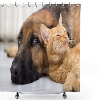 Personality  German Shepherd Dog And Cat Together Shower Curtains