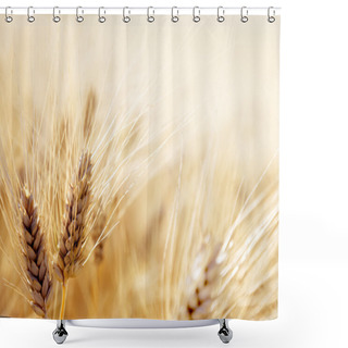 Personality  Wheat Field Shower Curtains