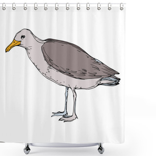 Personality  Vector Sky Bird Seagull In A Wildlife. Black And White Engraved Ink Art. Isolated Seagull Illustration Element. Shower Curtains