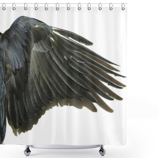 Personality  Bird Wings Shower Curtains