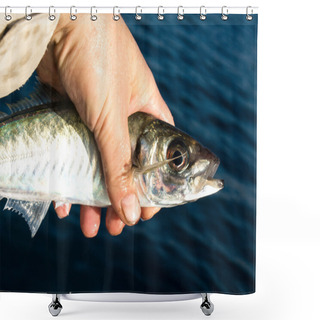 Personality  Mackerel Shower Curtains