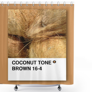 Personality  COCONUT TONE BROWN. Color Sample Design Shower Curtains