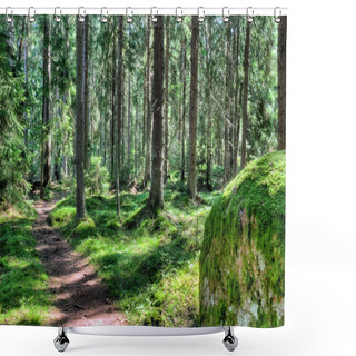 Personality  Green Forest Landscape In The Summer Shower Curtains