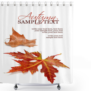 Personality  Fall Leaves Shower Curtains