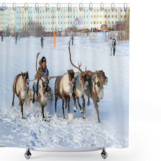 Personality  NADYM, RUSSIA - FEBRUARY 26, 2012: The Nenets On A Traditional Transport Of The Peoples Of The Arctic. Nenets - Aboriginals Of The Russian North Shower Curtains