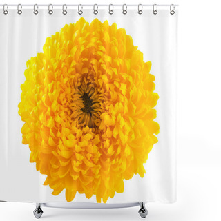 Personality  Yellow Chrysanthemum Shower Curtains