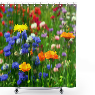 Personality  Background Of Colorful Mixed Flowers Growing In A Garden Shower Curtains