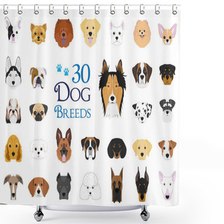 Personality  Dog Breeds Vector Collection: Set Of 30 Different Dog Breeds In Cartoon Style. Shower Curtains