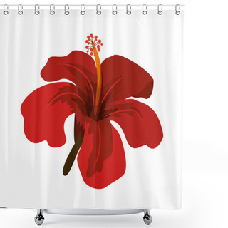 Personality  Red Chinese Rose With Trumpet Shaped Petals Shower Curtains