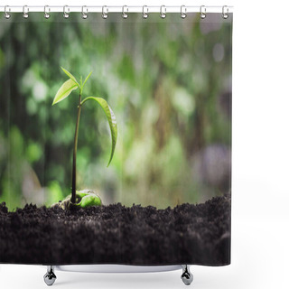 Personality  Plant Growth On The Soil Shower Curtains