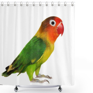 Personality  Lovebird Isolated On White Agapornis Fischeri Shower Curtains